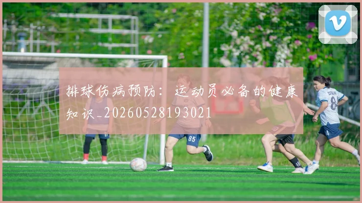 排球伤病预防:运动员必备的健康知识_20260528193021